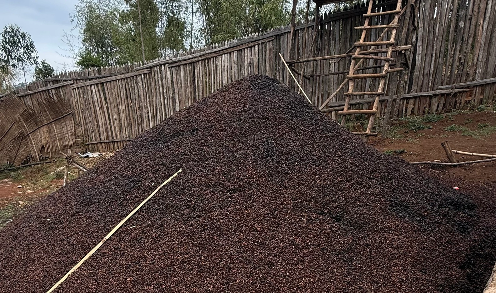 Decaffeinated Instant Coffee