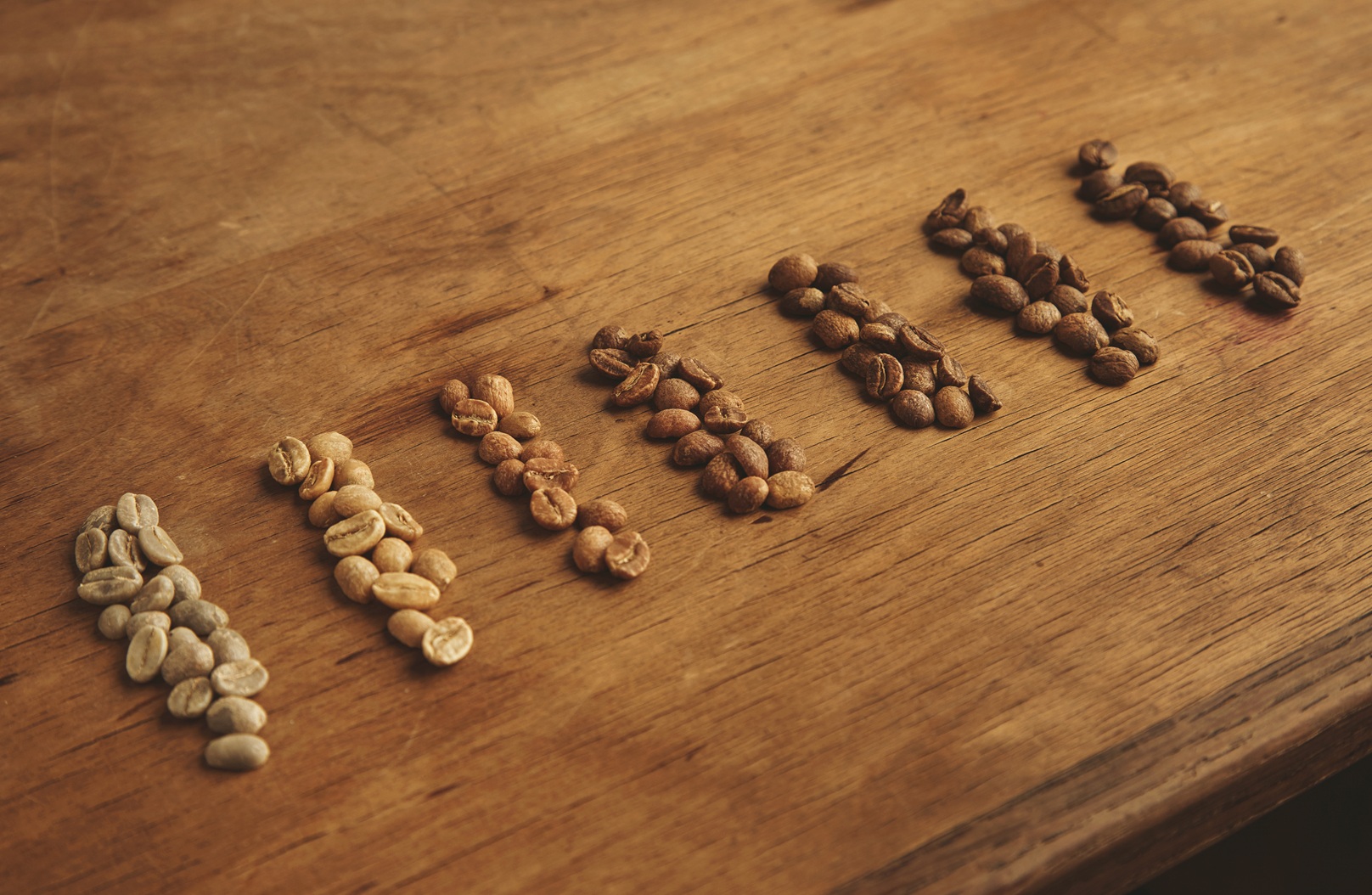 Brazilian Santos Coffee Beans