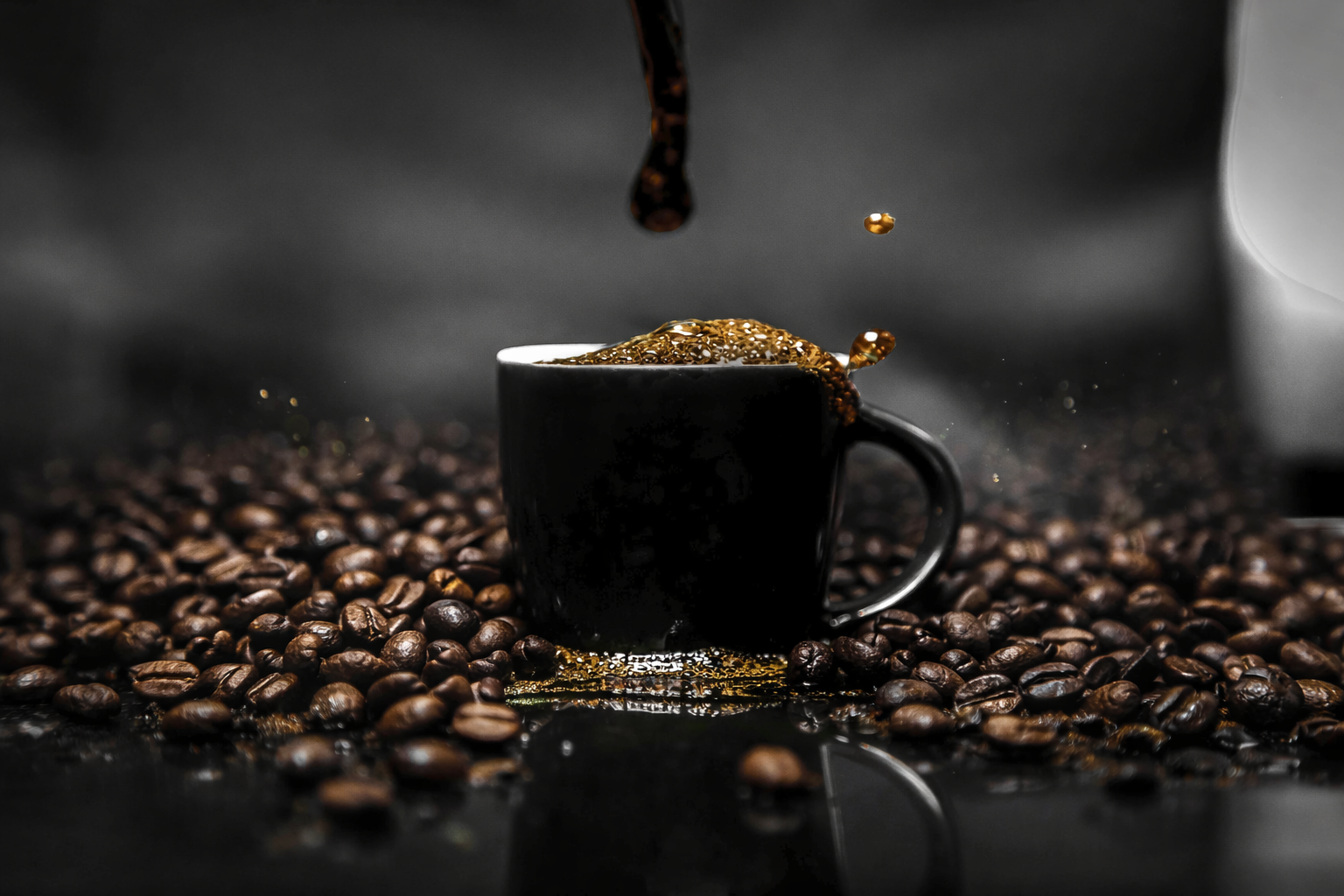 Coffee Sampler Gift Box